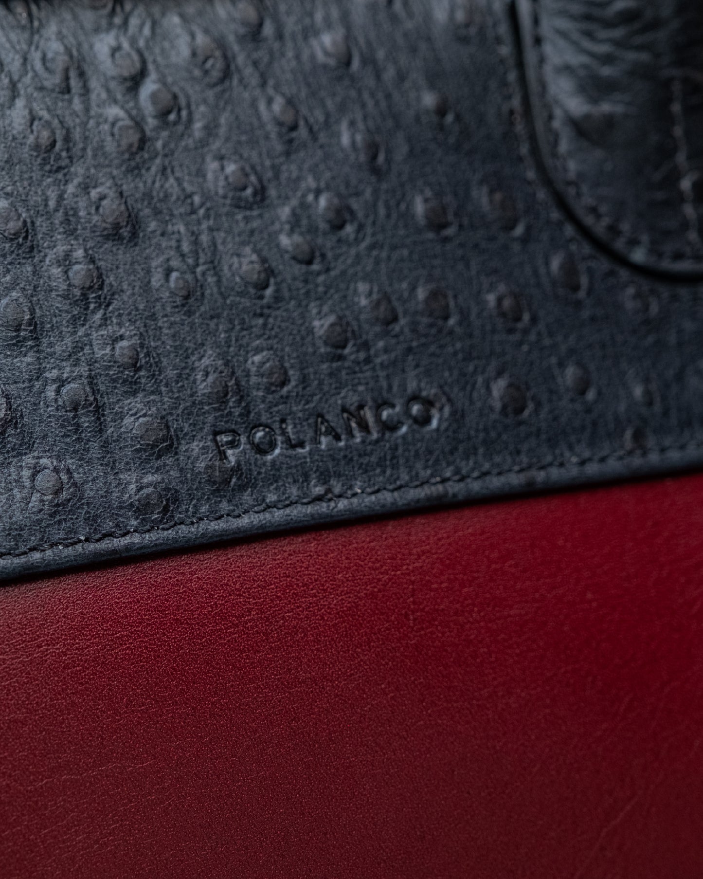 Bolso Capi en piel Negra Grano Mate & Avestruz