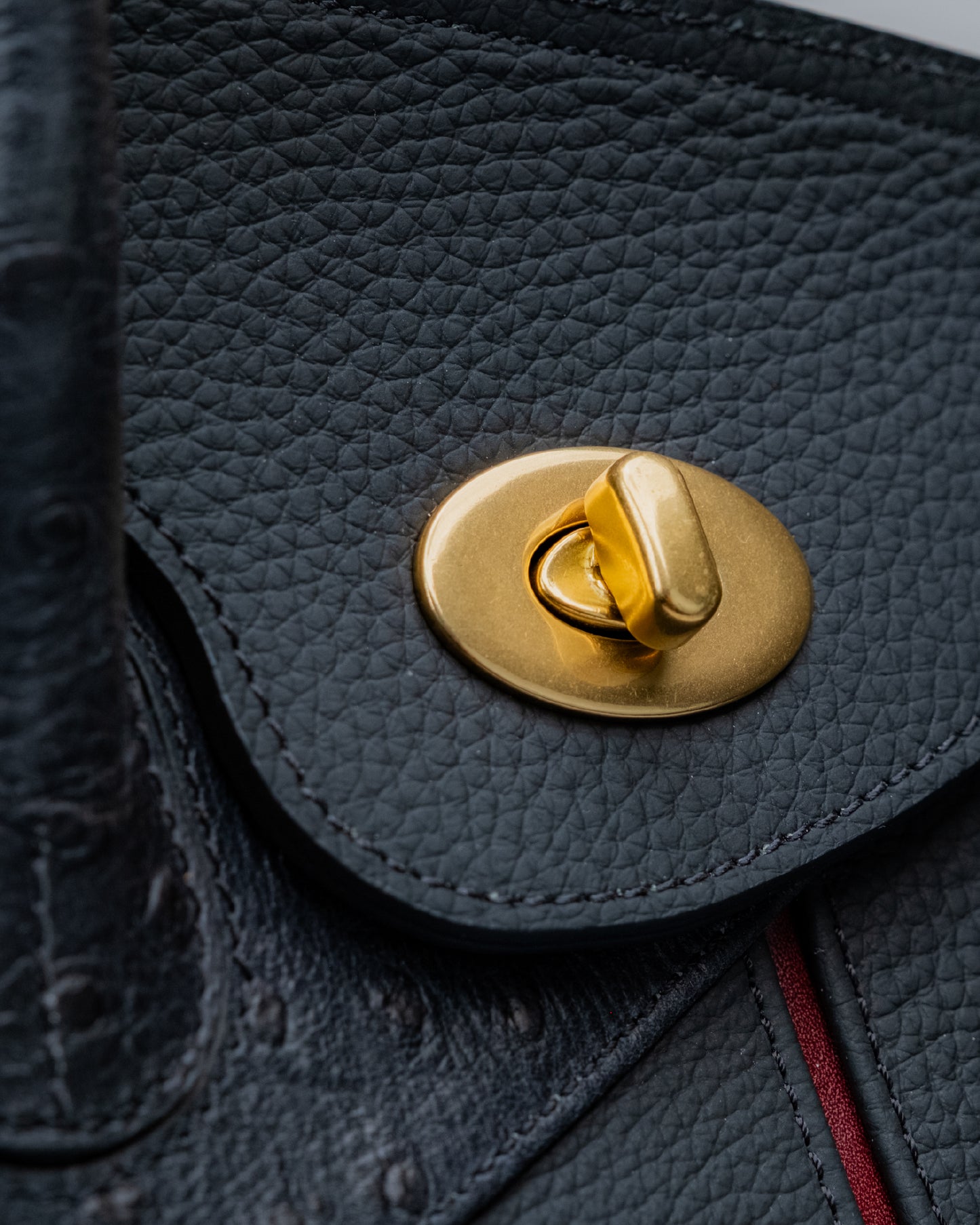 Bolso Capi en piel Negra Grano Mate & Avestruz